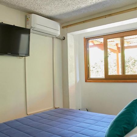 Hostal Aldea Colchagua Experience Santa Cruz Exteriér fotografie