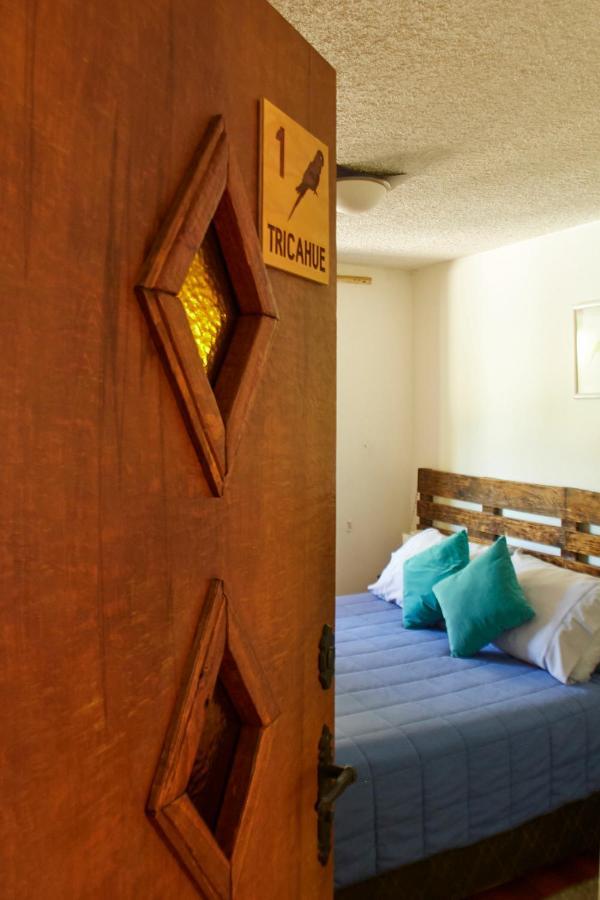 Hostal Aldea Colchagua Experience Santa Cruz Exteriér fotografie